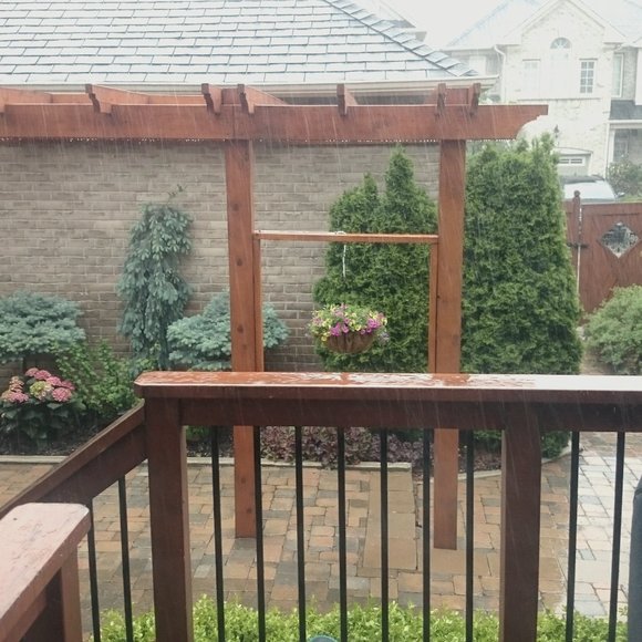 Meet your Posher, Shaheera - Picture 1 of 1